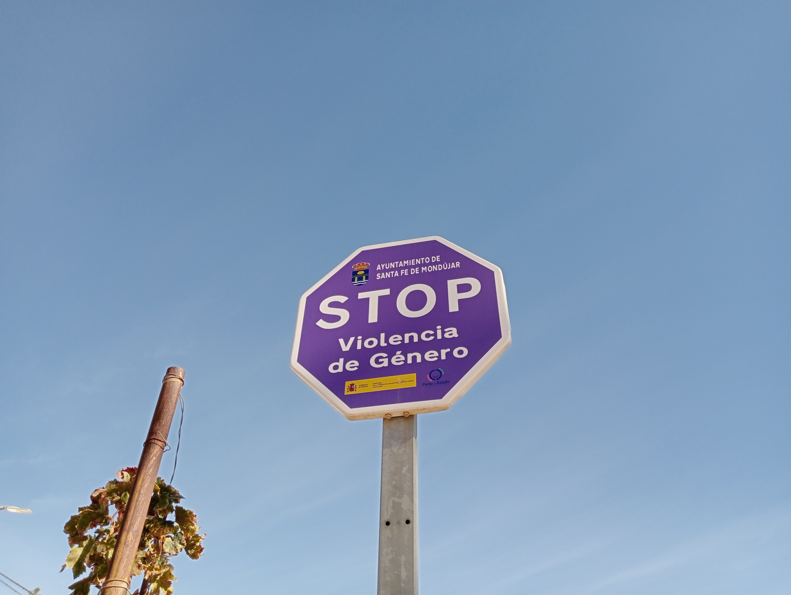 abogado violencia de genero malaga